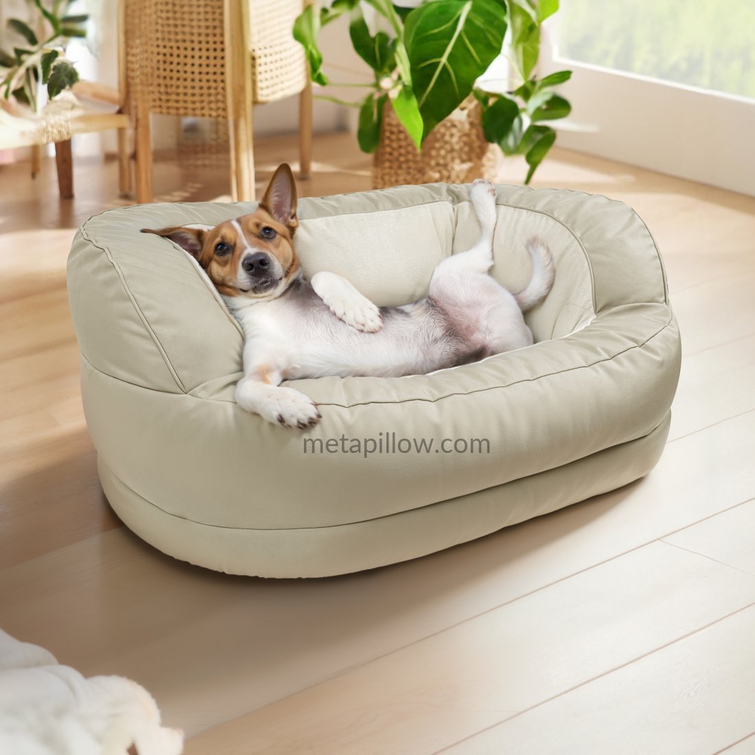 Big comfy couch dog best sale